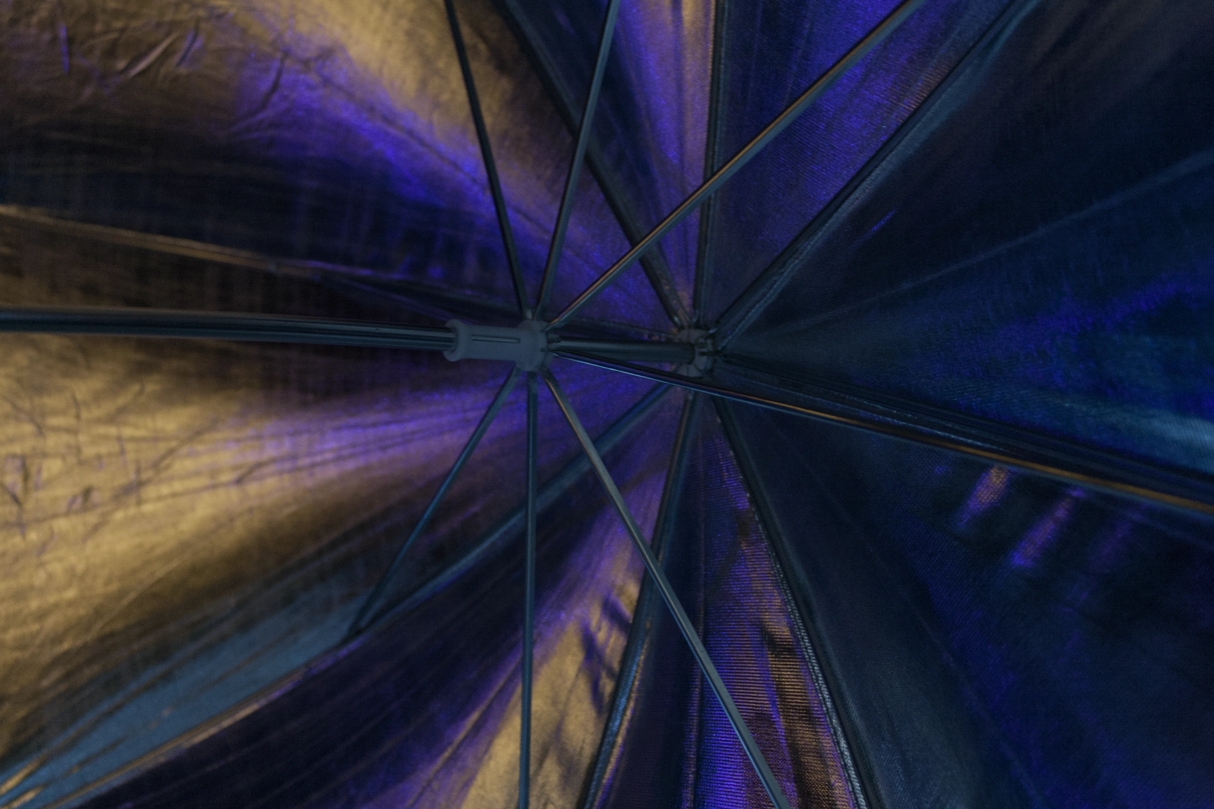 An artistic shot of an umbrella, January 2010